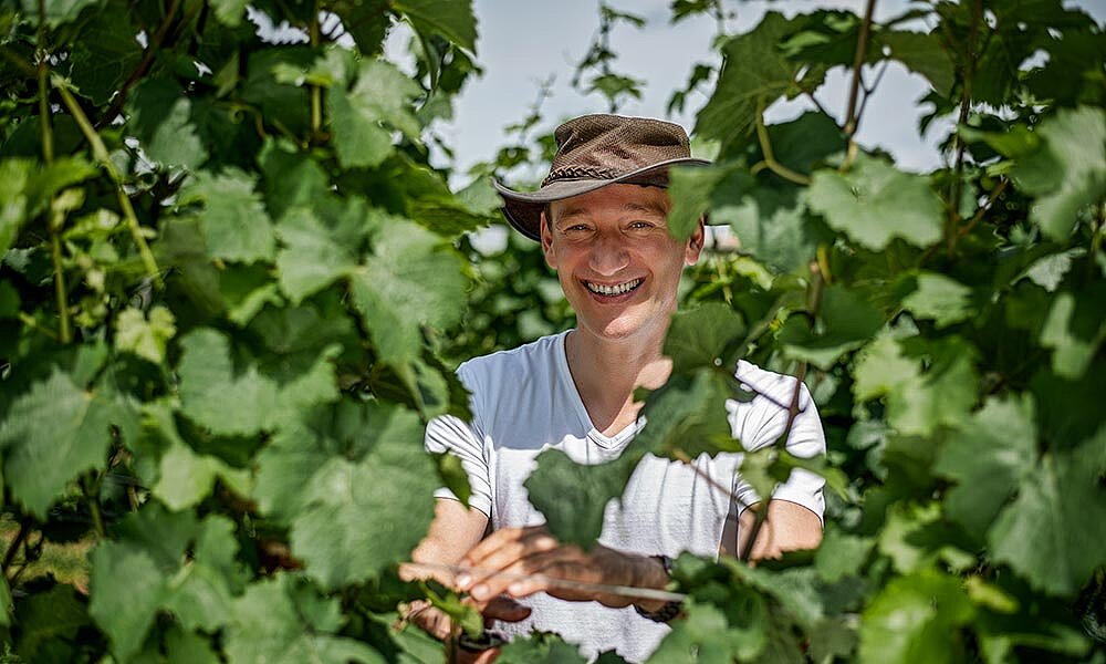 Herr Schäfer bei der Arbeit im Weinberg