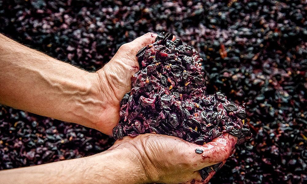 Ein Herz aus Maische