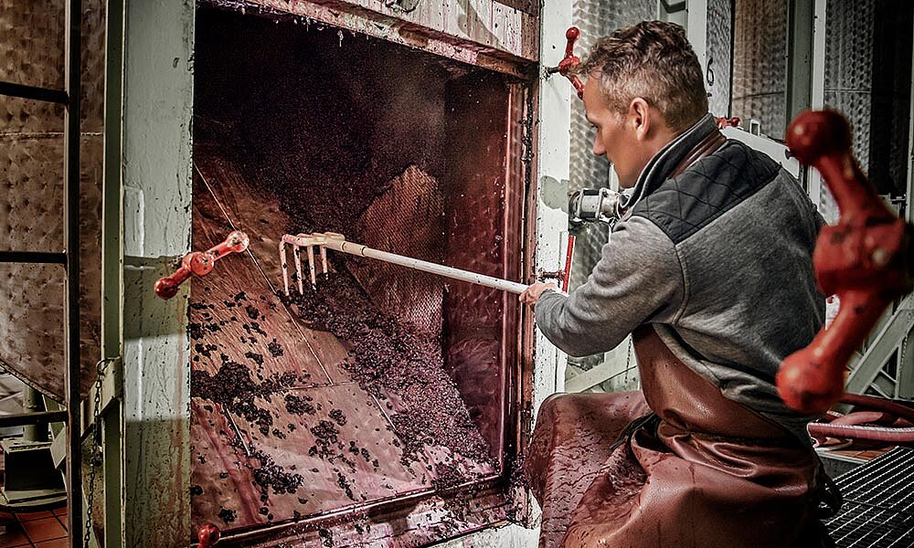 Kellerarbeit - Trester ablassen