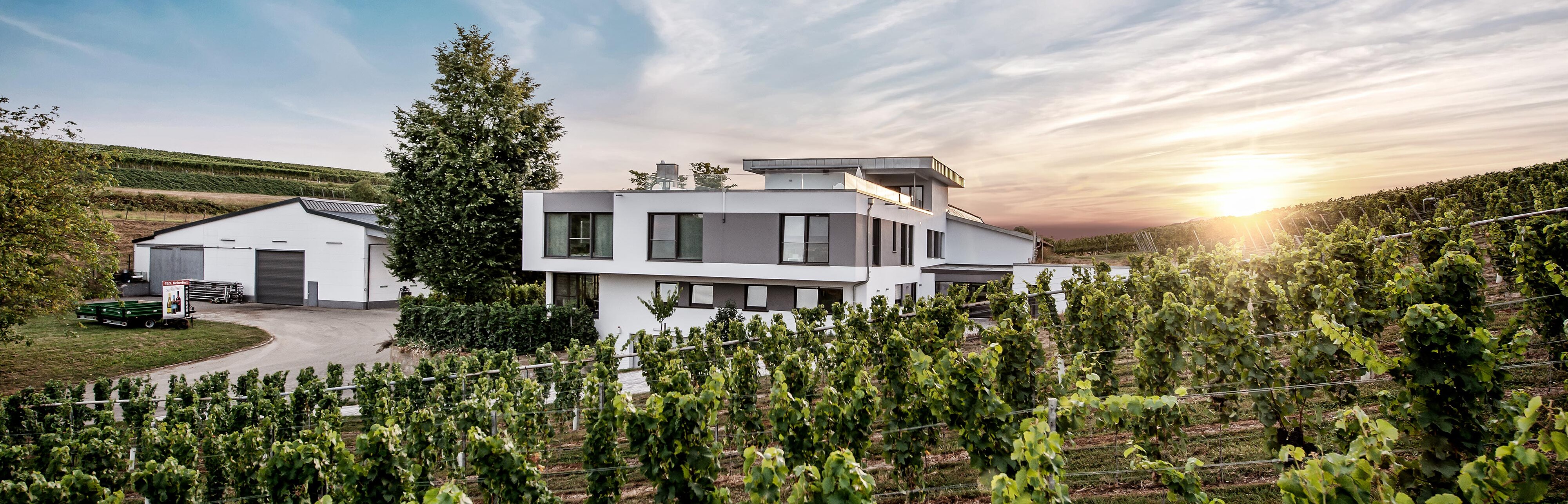 Das Weingut im Abendlicht