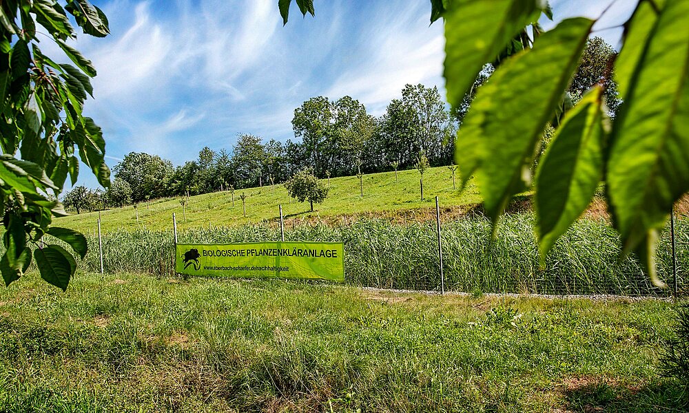 Pflanzenkläranlage mit Schild