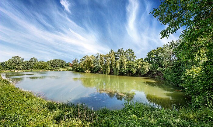 Unser grosser Bewässerungs-See