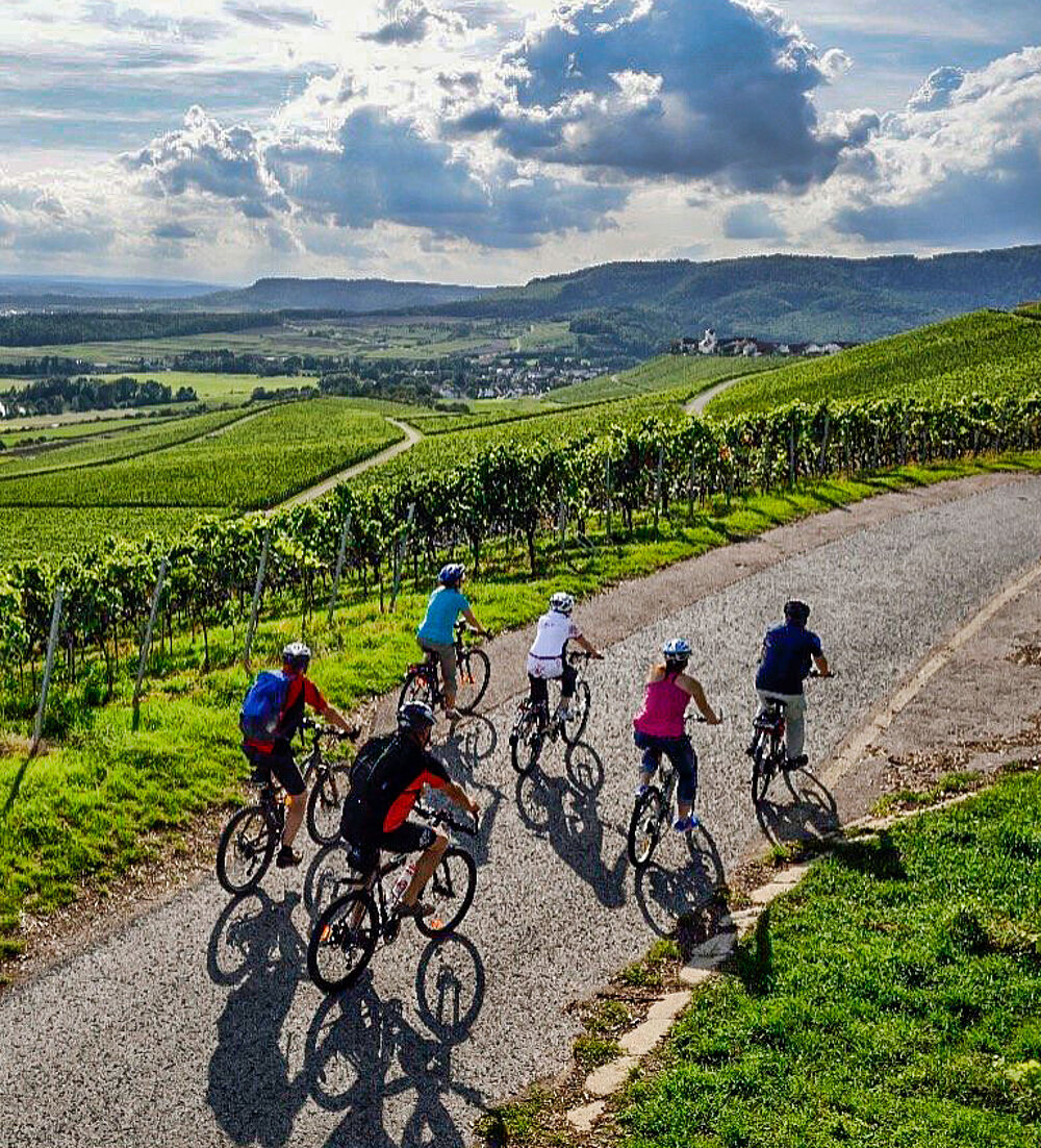 Radfahrer inmitten von Weinbergen