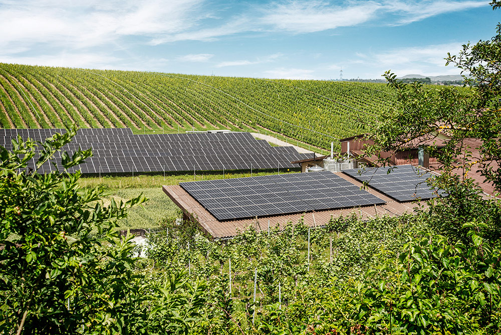 Bild eines Teils unserer PV-Anlagen